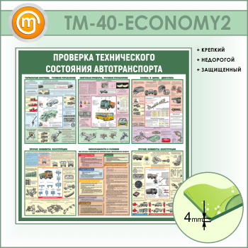 Стенд «Проверка технического состояния автотранспорта» (TM-40-ECONOMY2)